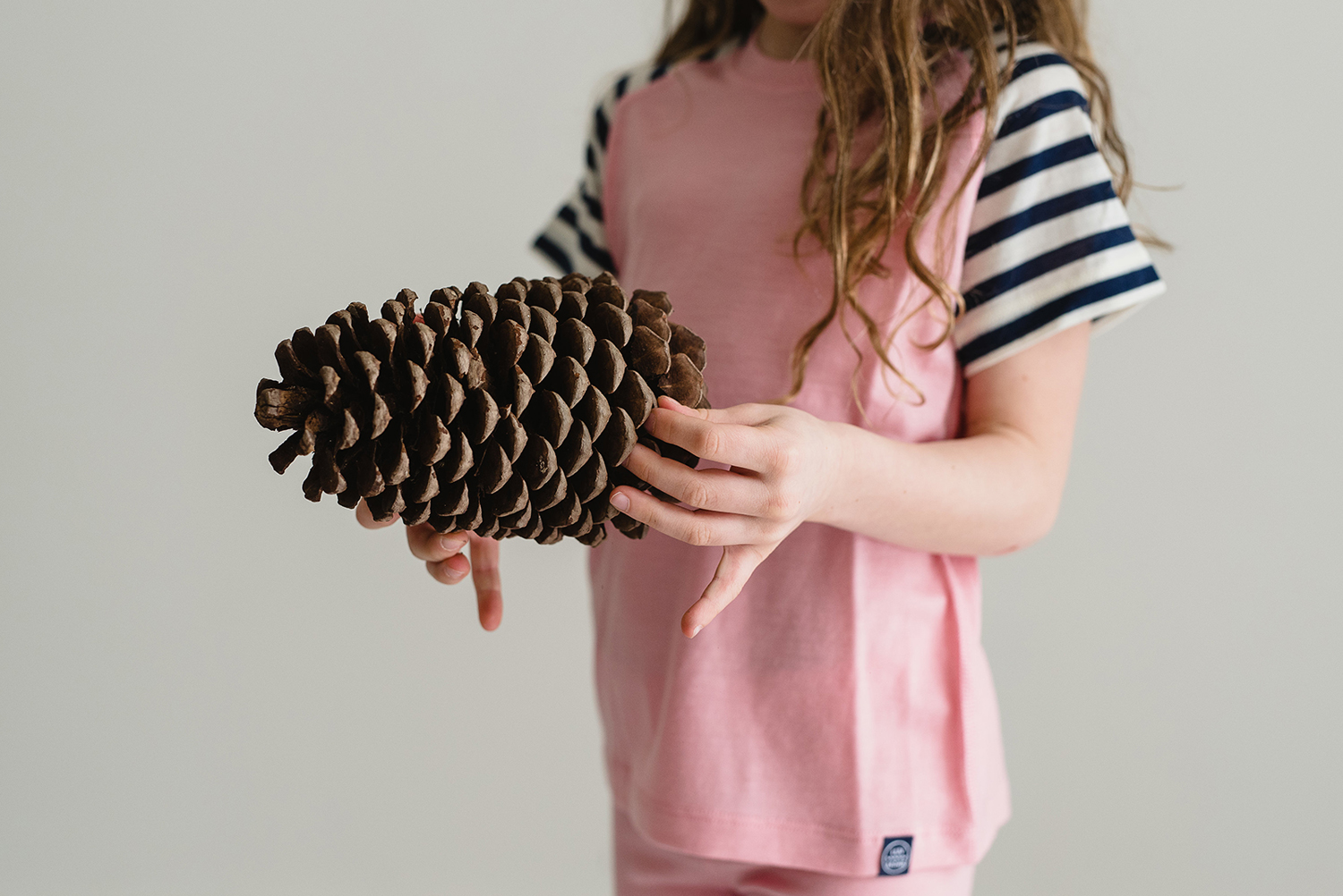 pinecone.jpg