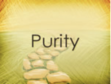 Recommended focus: Ages 11-13+ Prepare and challenge your child to commit to purity.