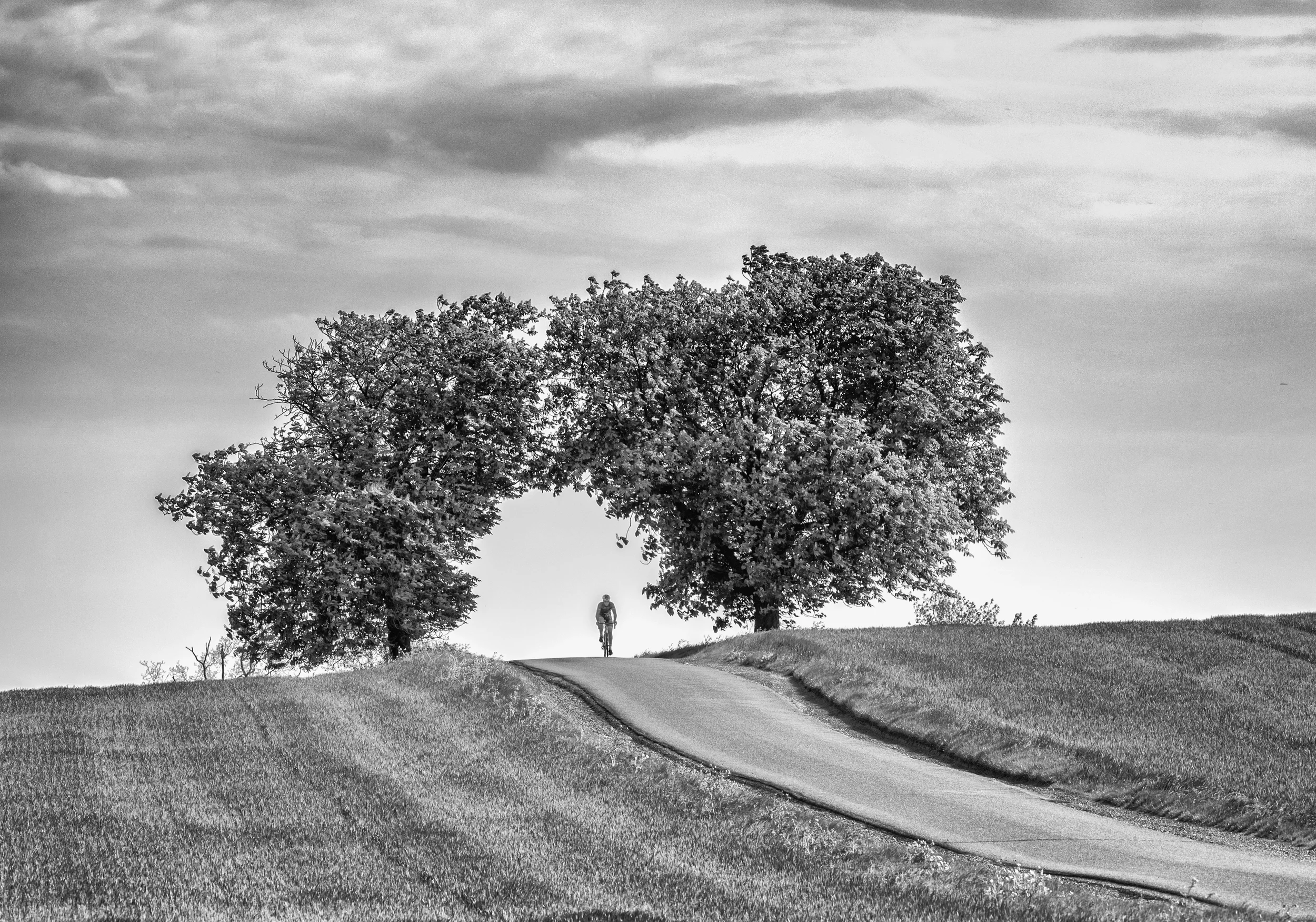 The lonliness of the long distance cyclist