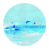 exit-about.gif