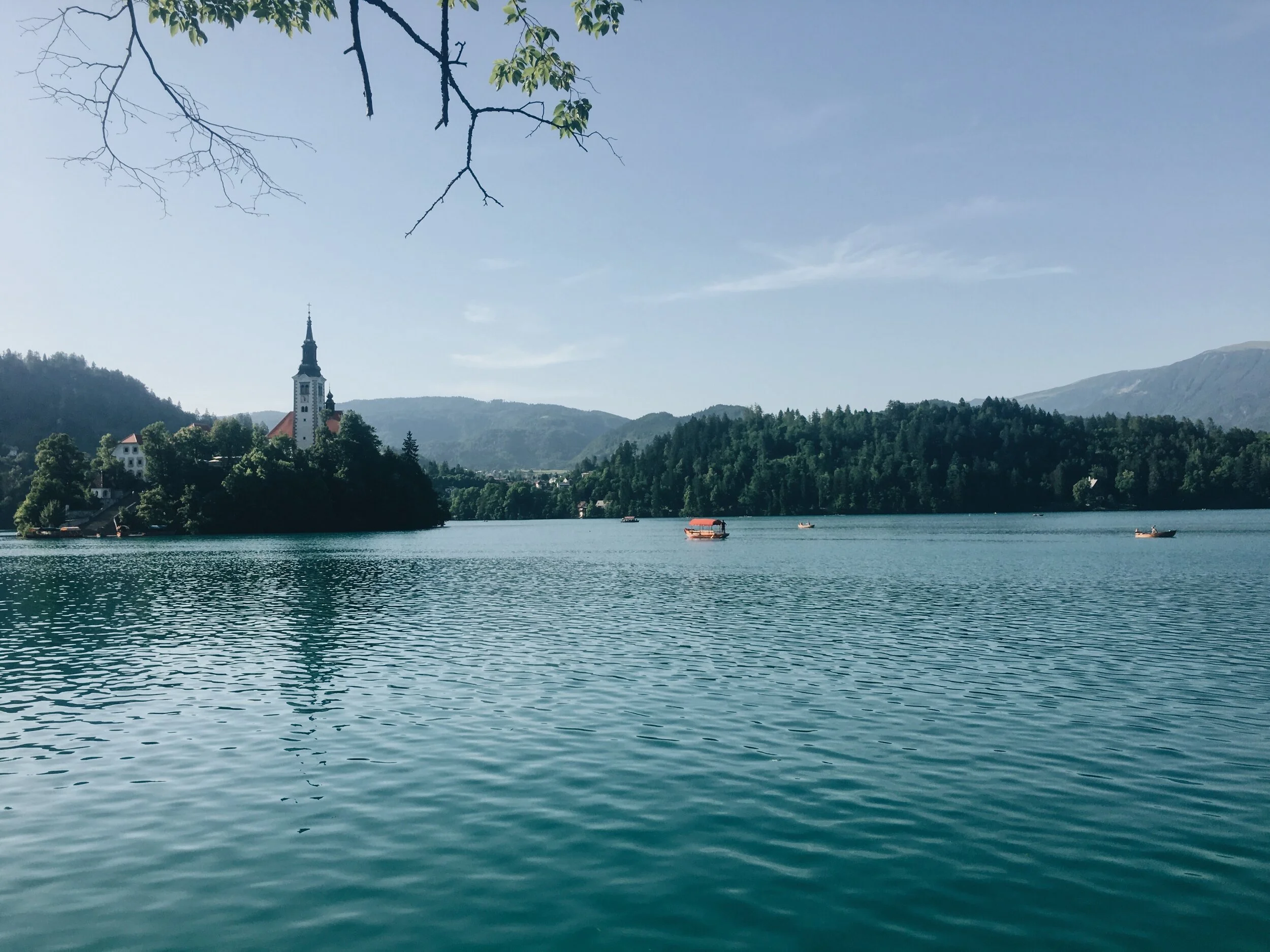 Video: Pain and Advanced Prostate Cancer Treatment (Royal Stage) | Prostate Cancer Staging Guide