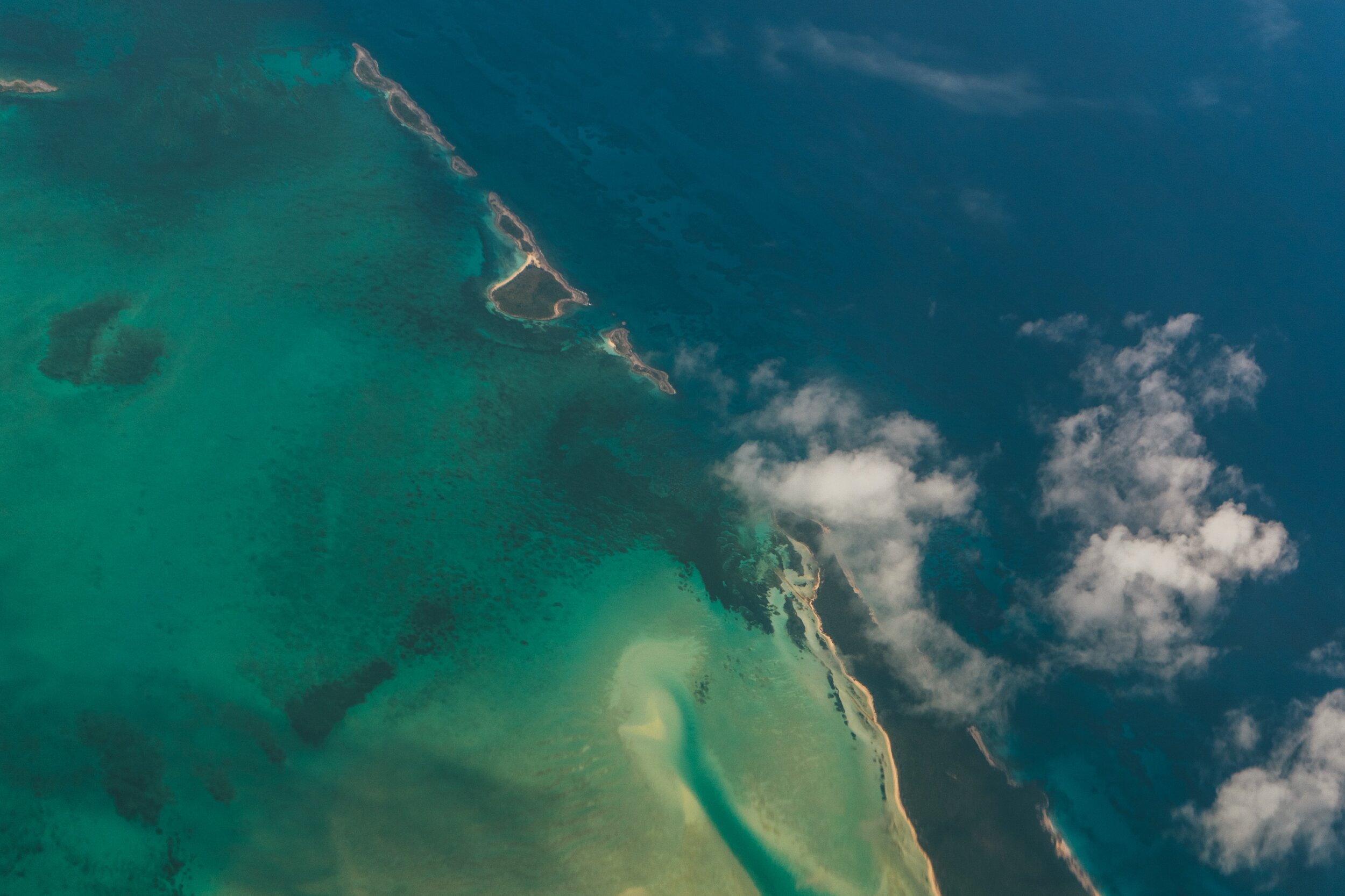 Video: Genetic Testing for Advanced Prostate Cancer (Royal Stage) | Prostate Cancer Staging Guide