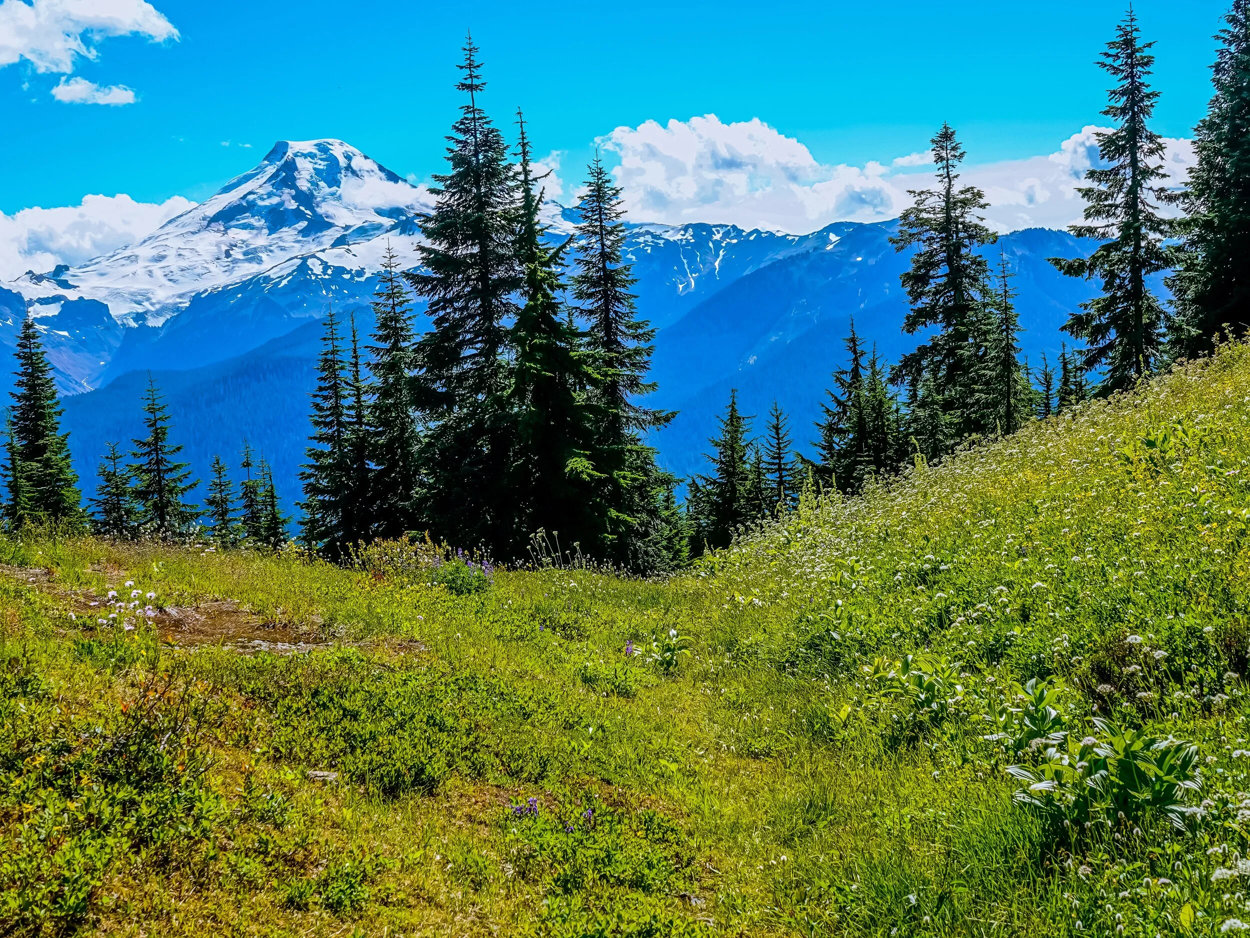 MAY 29, 2021 — Active Surveillance Patients International Presents: "Micro-ultrasound imaging: A New View of the Prostate"