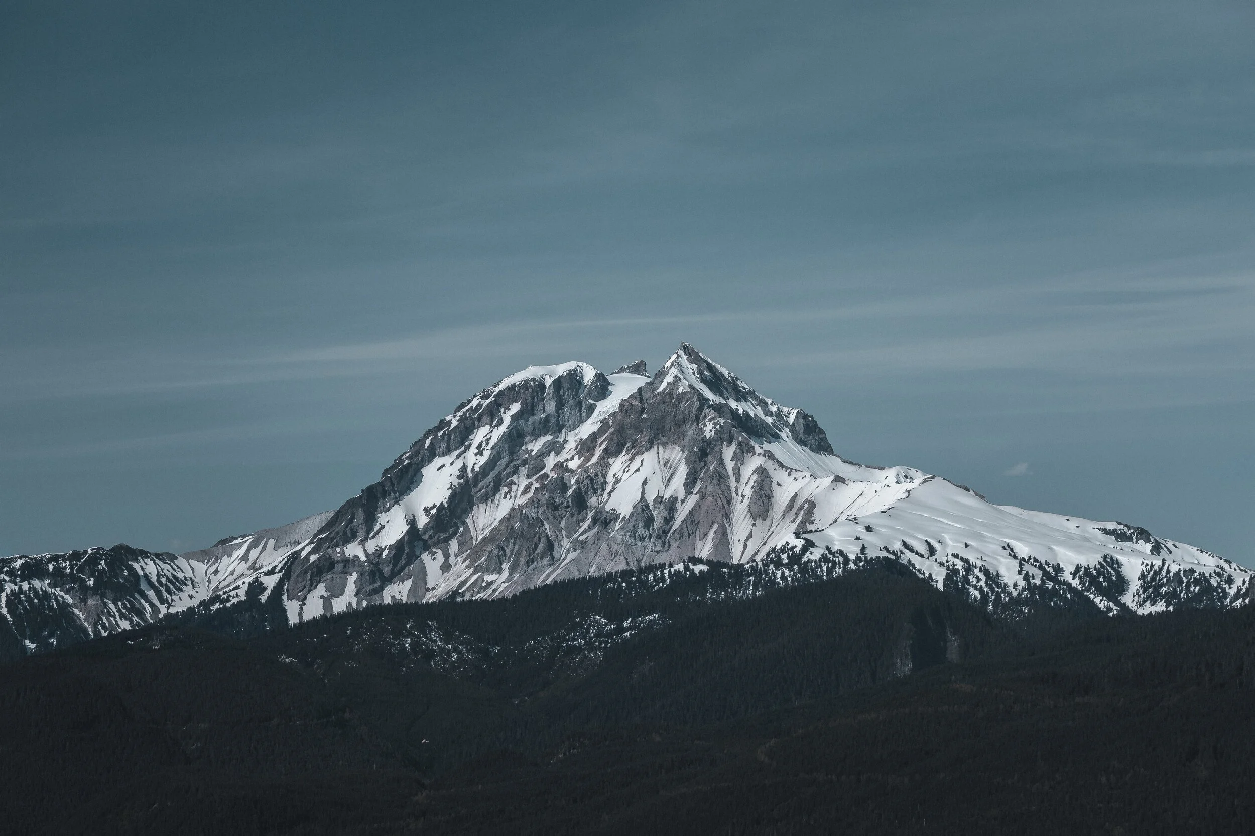 ASPI Presents the Town Hall: "The Leading Edge of Active Surveillance for Patient and Urologists"