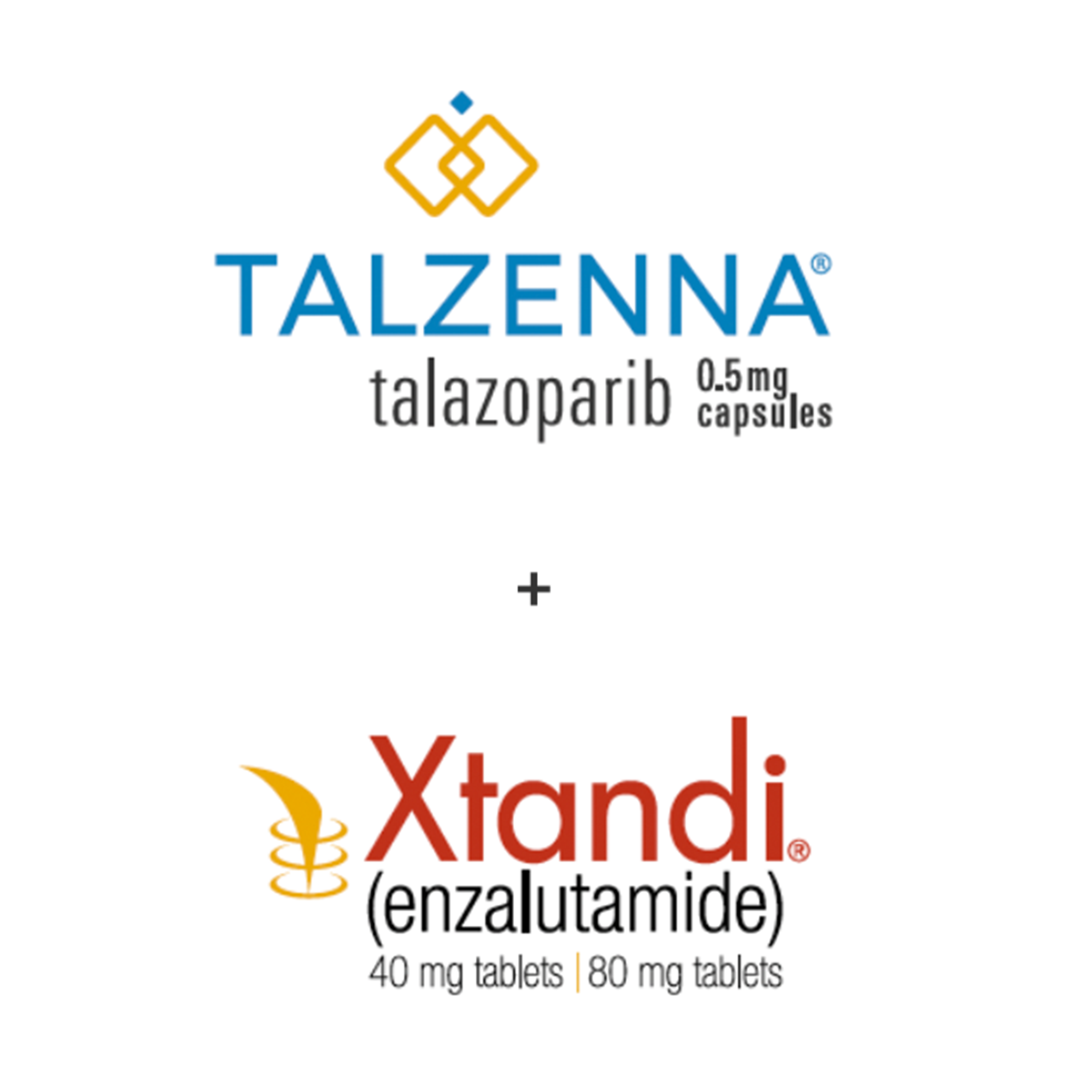 Patient Opportunity: Share Your Experience with TALZENNA® + XTANDI®