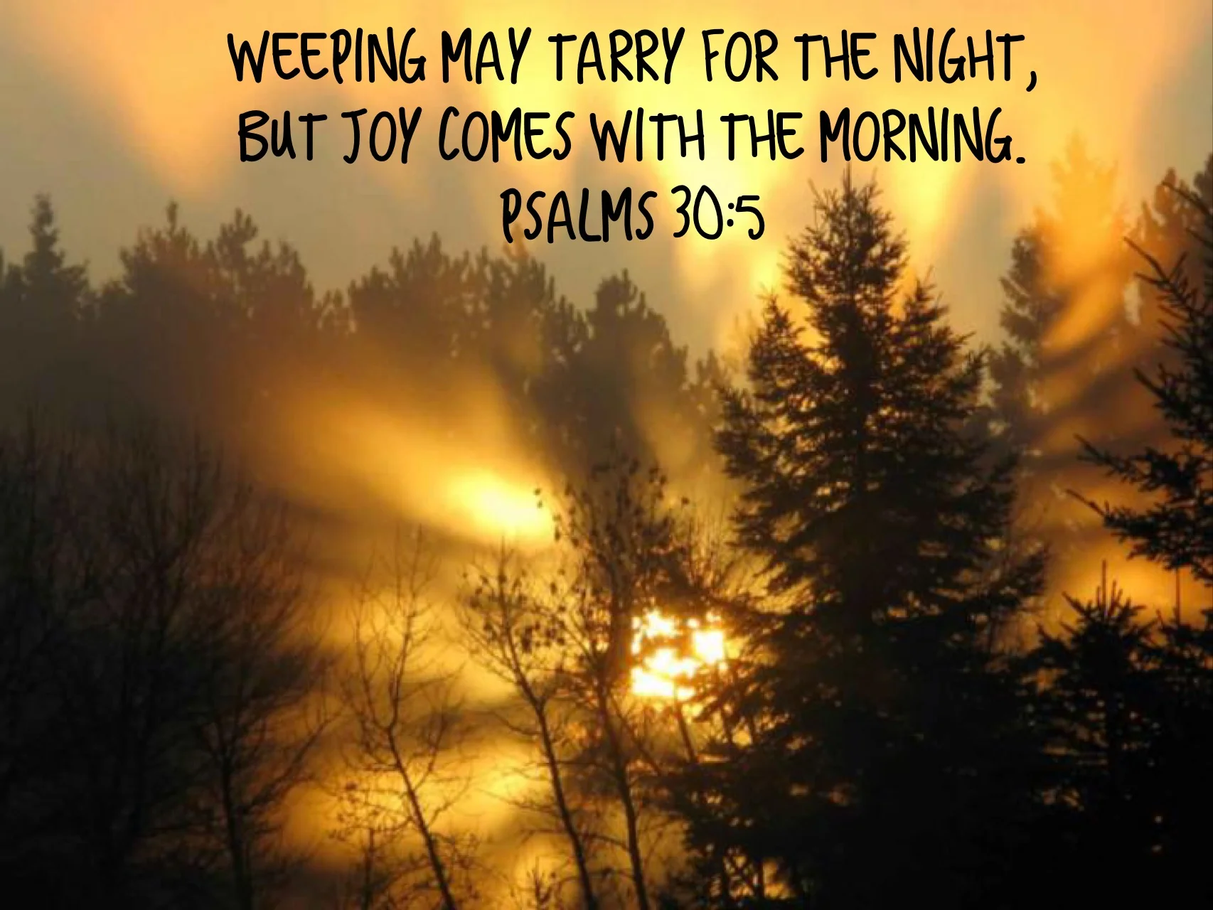 Psalm 30 5.JPG