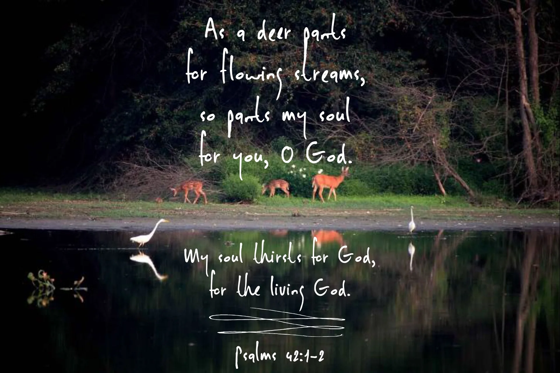 Psalm 42 1-2.JPG