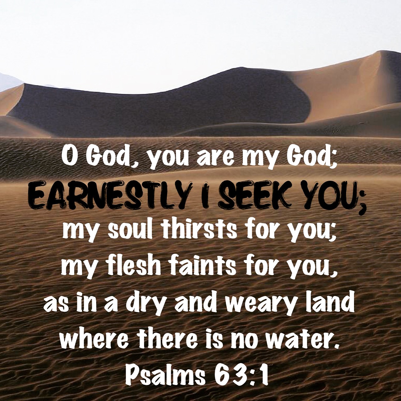 Psalm 63 1.JPG