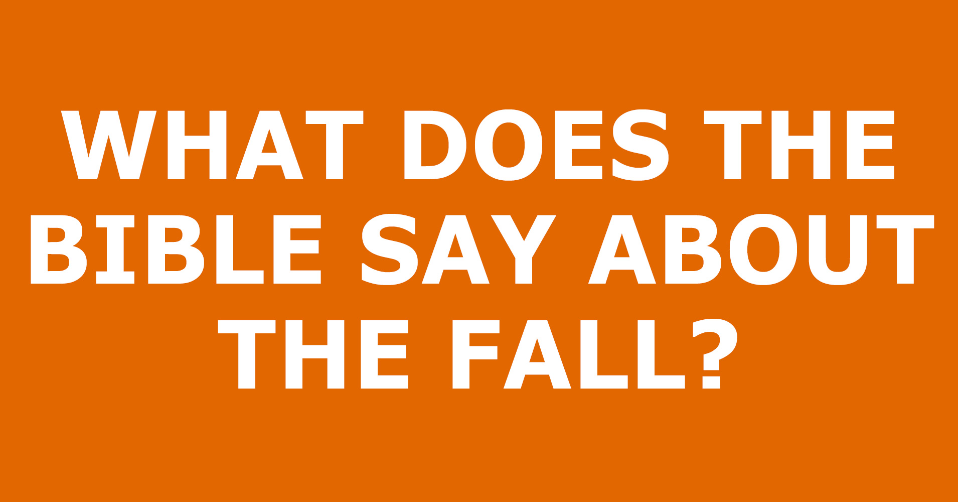 Fall.jpg