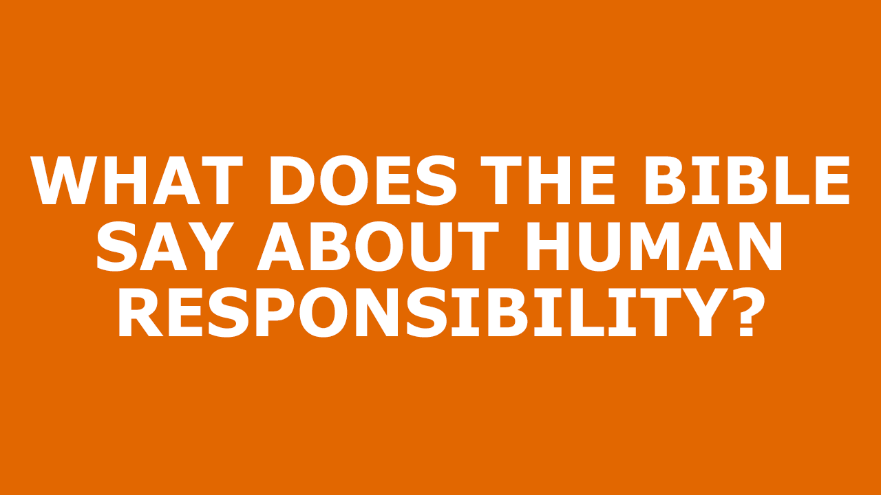 Human-Responsibility.png