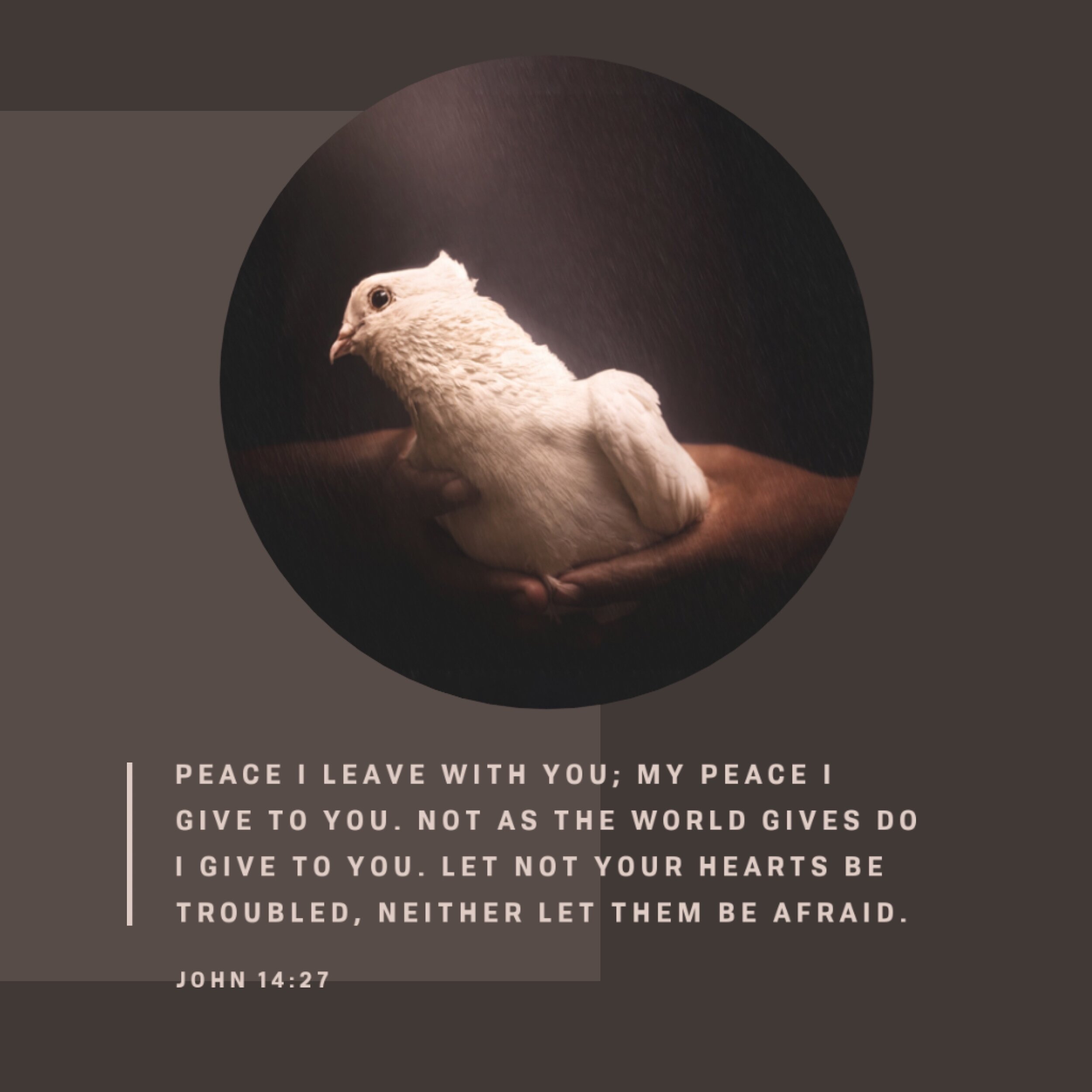 The Peace Of God  John 14-27.JPG