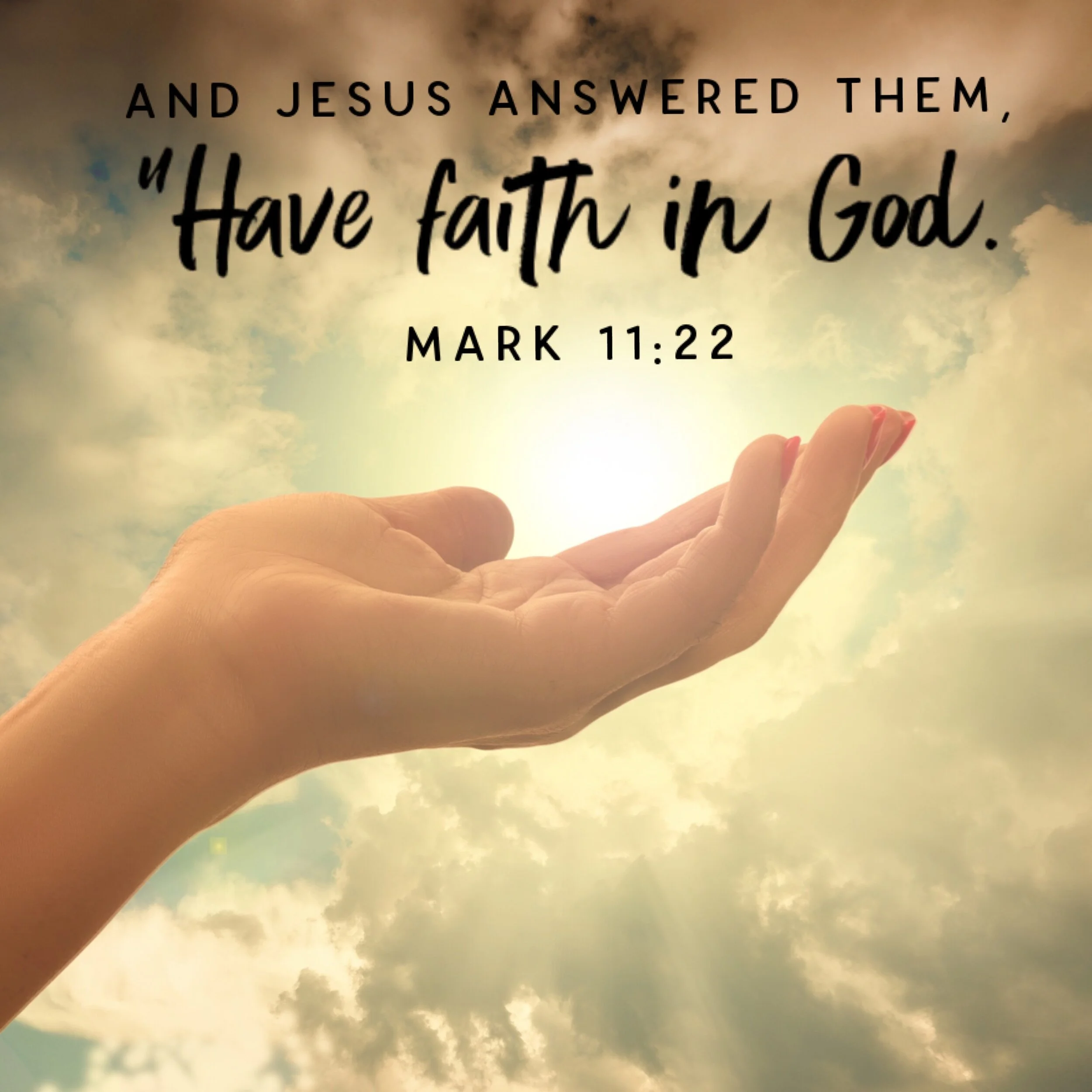 The Operating Principle Of Life  Mark 11-22.JPG