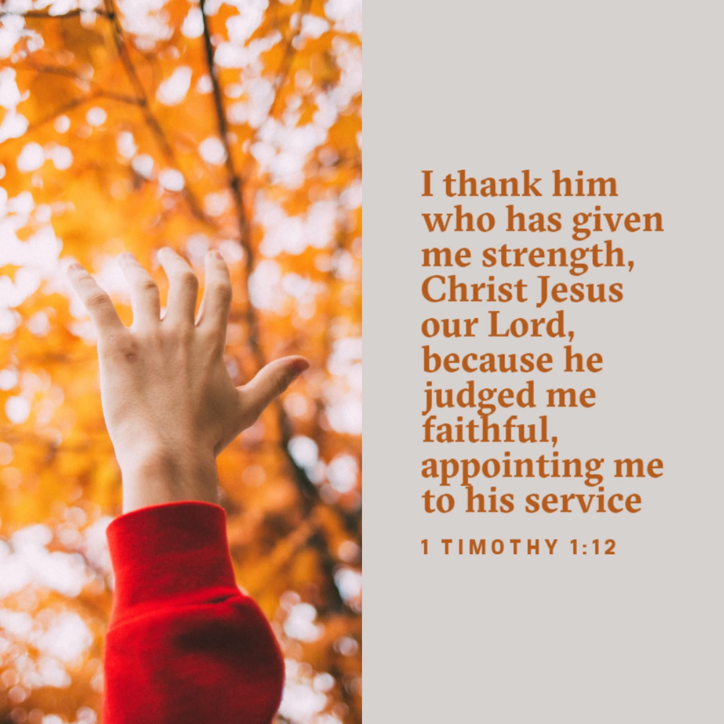 Showing Yourself Faithful  1Timothy 1-12.JPG