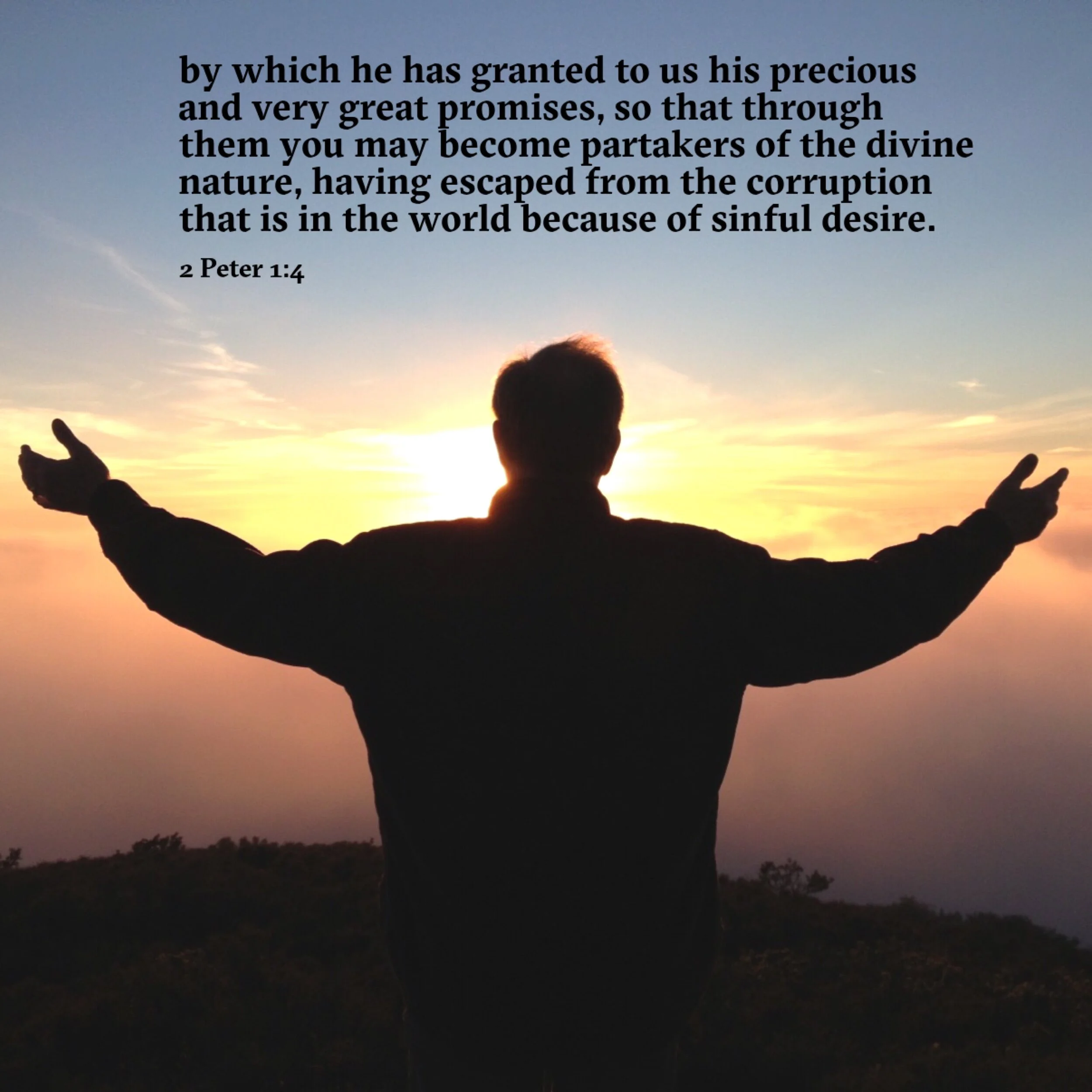 Salvation Is Regeneration  2Peter 1-4.JPG