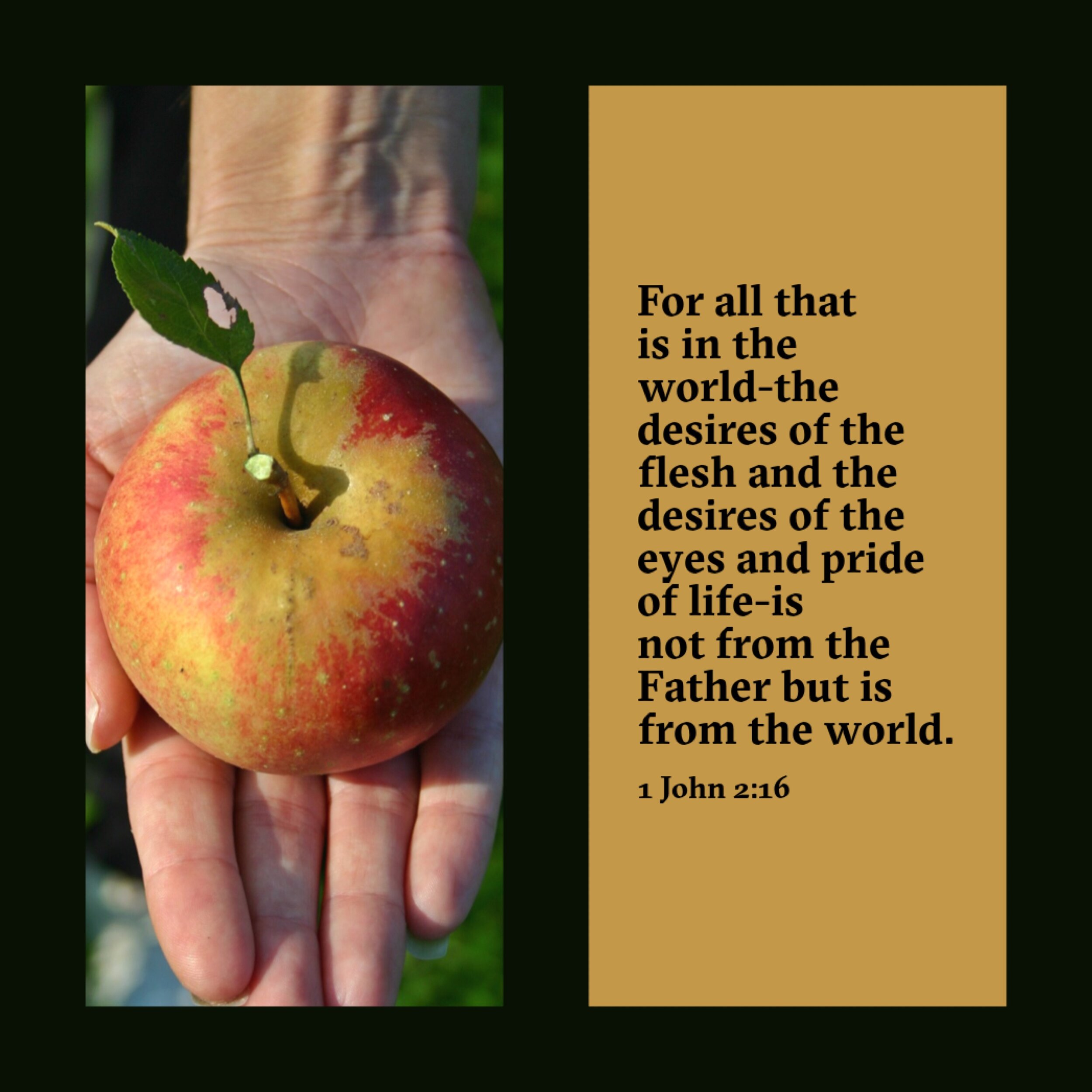 Satan's Threefold Temptation  1John 2-16.JPG