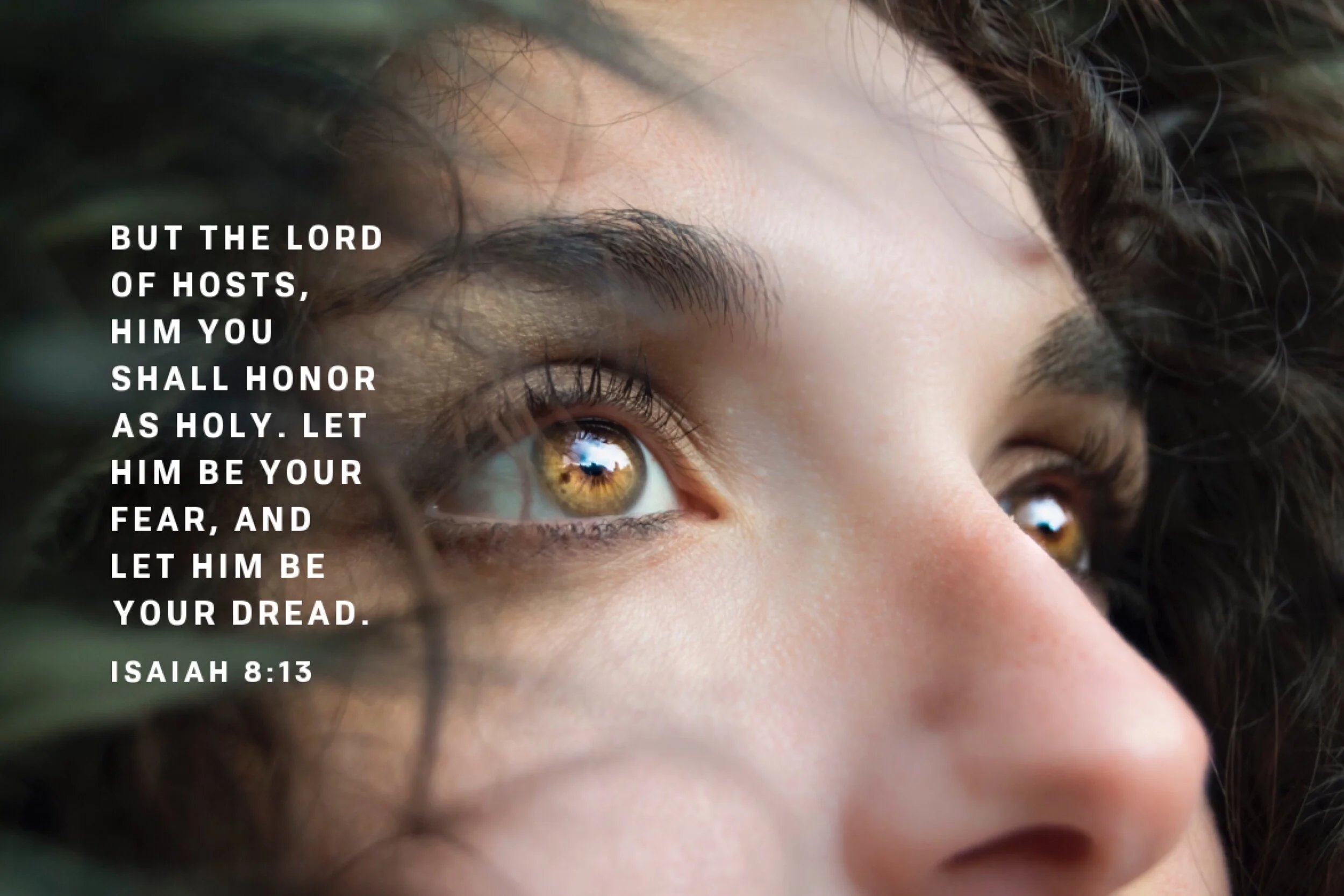 One Fear Object  Isaiah 8-13.JPG