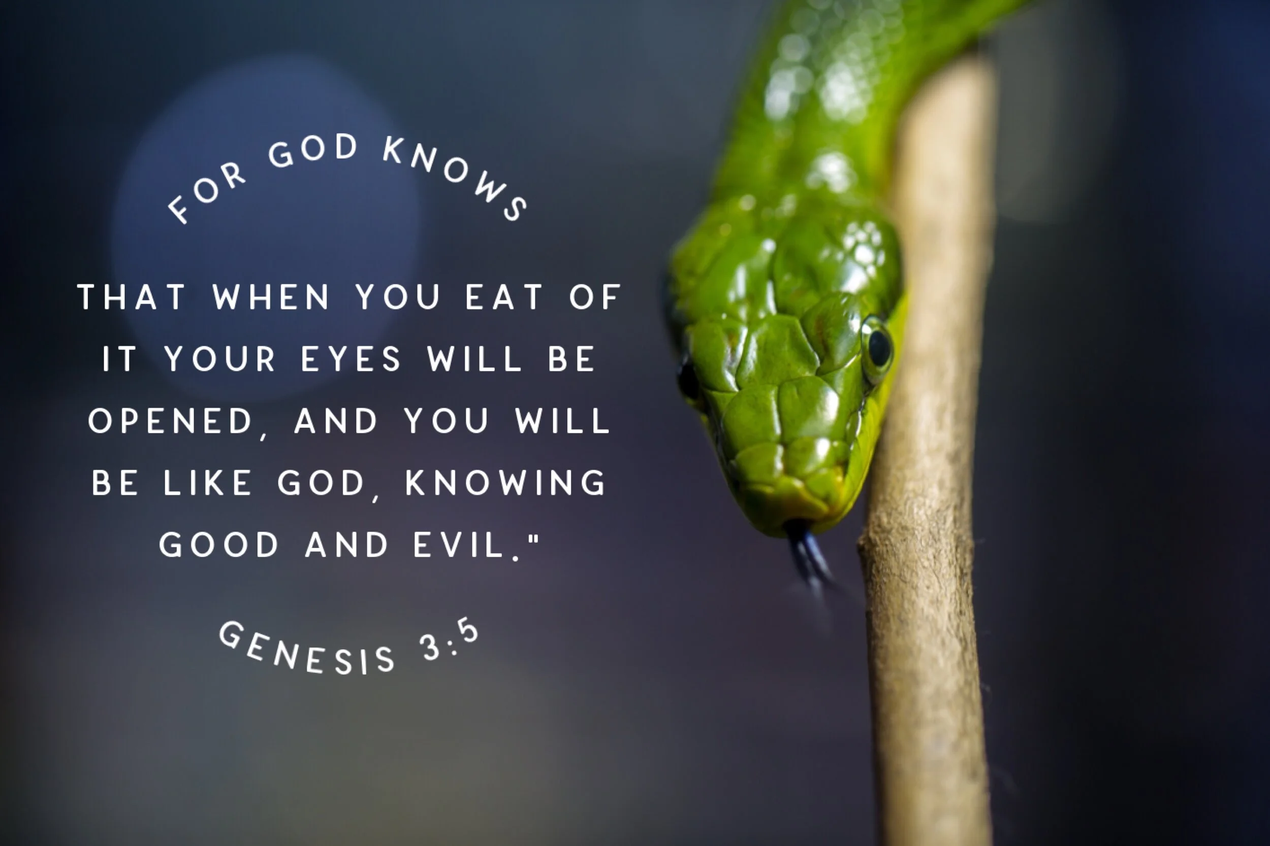 Only God Is God  Genesis 3-5.JPG