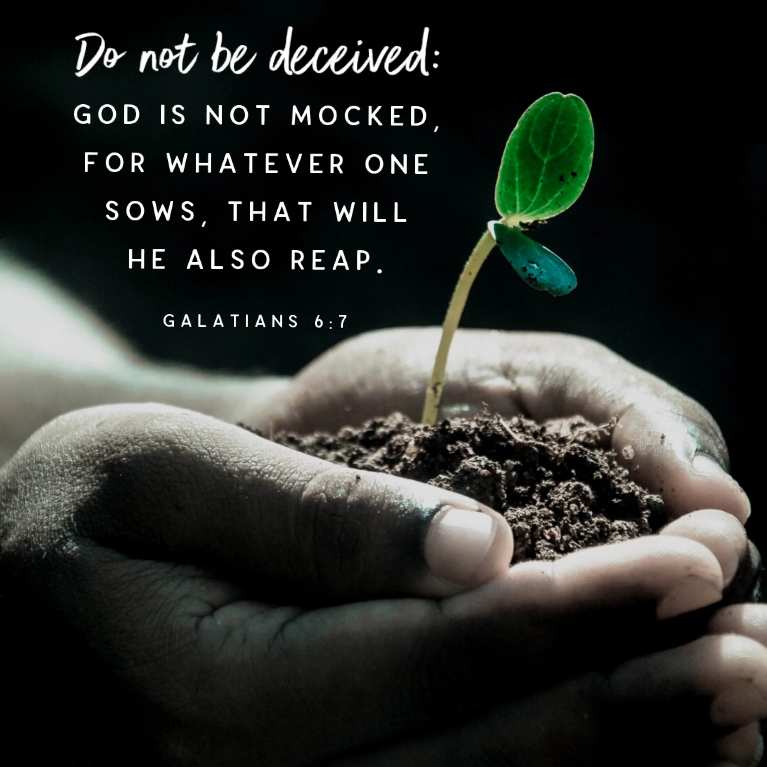 Sowing And Reaping  Galatians  6-7.JPG