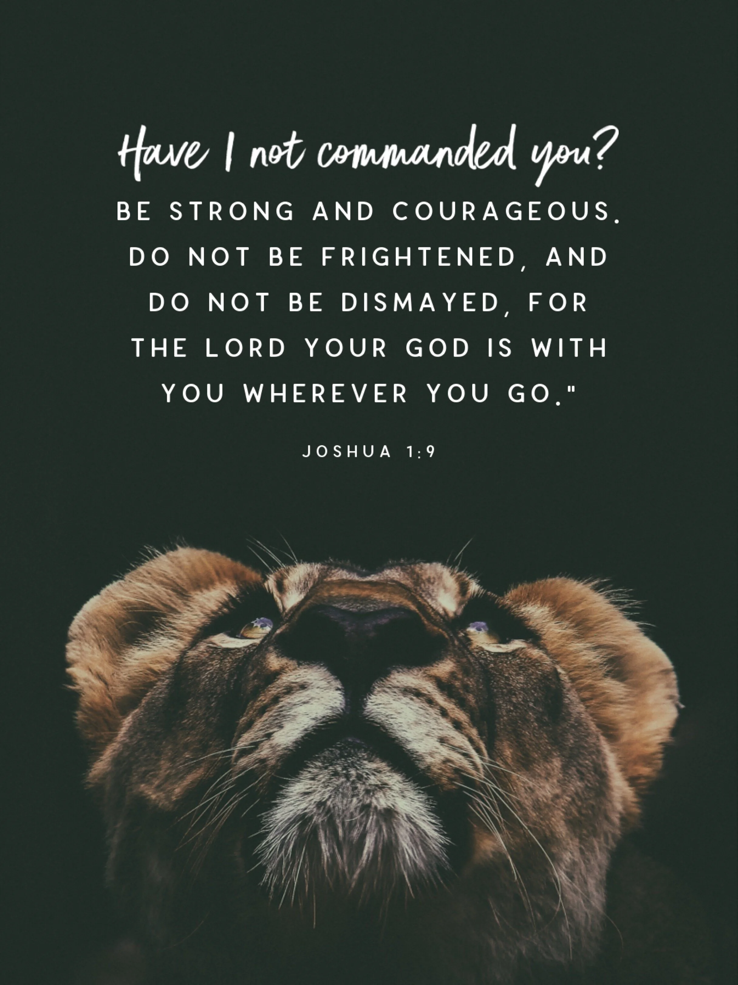 Spirit Inspired Boldness      Joshua 1-9.JPG