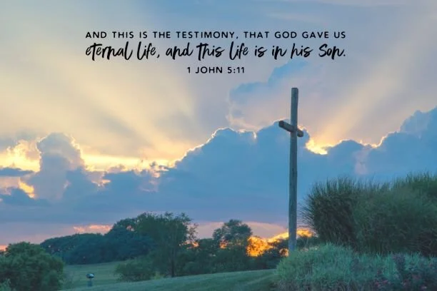 Spiritually Alive     1 John 5-11.JPG