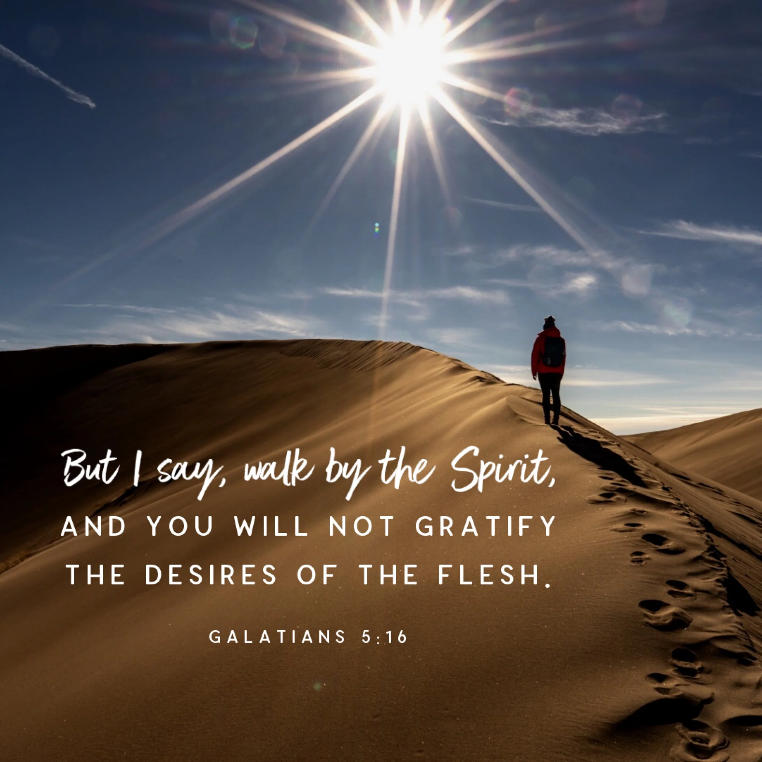 Spring-Loaded Towards The Spirit           Galations 5-16.JPG