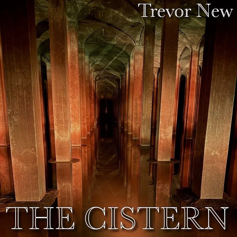 Recorded live underground at the Poughkeepsie Cistern in New York, this album brings together five-string viola/violin, electronics, a live audience, and the extraordinary acoustic reflections of the cistern, including its 15 second reverb.

The perf