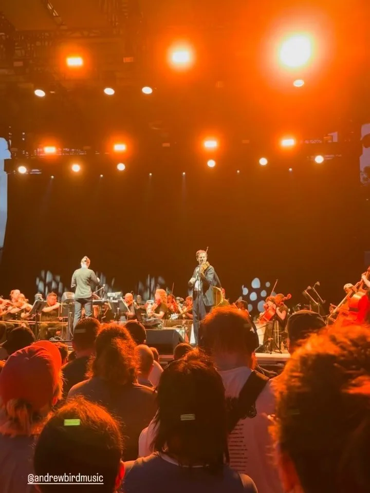 I played with @andrewbirdmusic and the Wordless Music Orchestra at this years @Summerstage in Central Park! Just getting around to sharing about this, I had a quick surgery and recovery not long after. All good now 👍🏽 who really needs an appendix?
