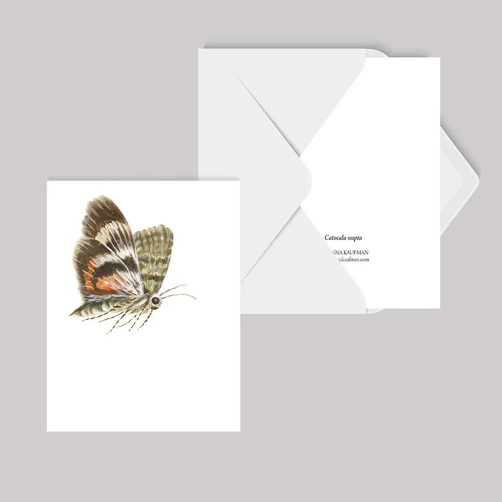 Catocala_nupta_card©JoannaKaufman.jpg