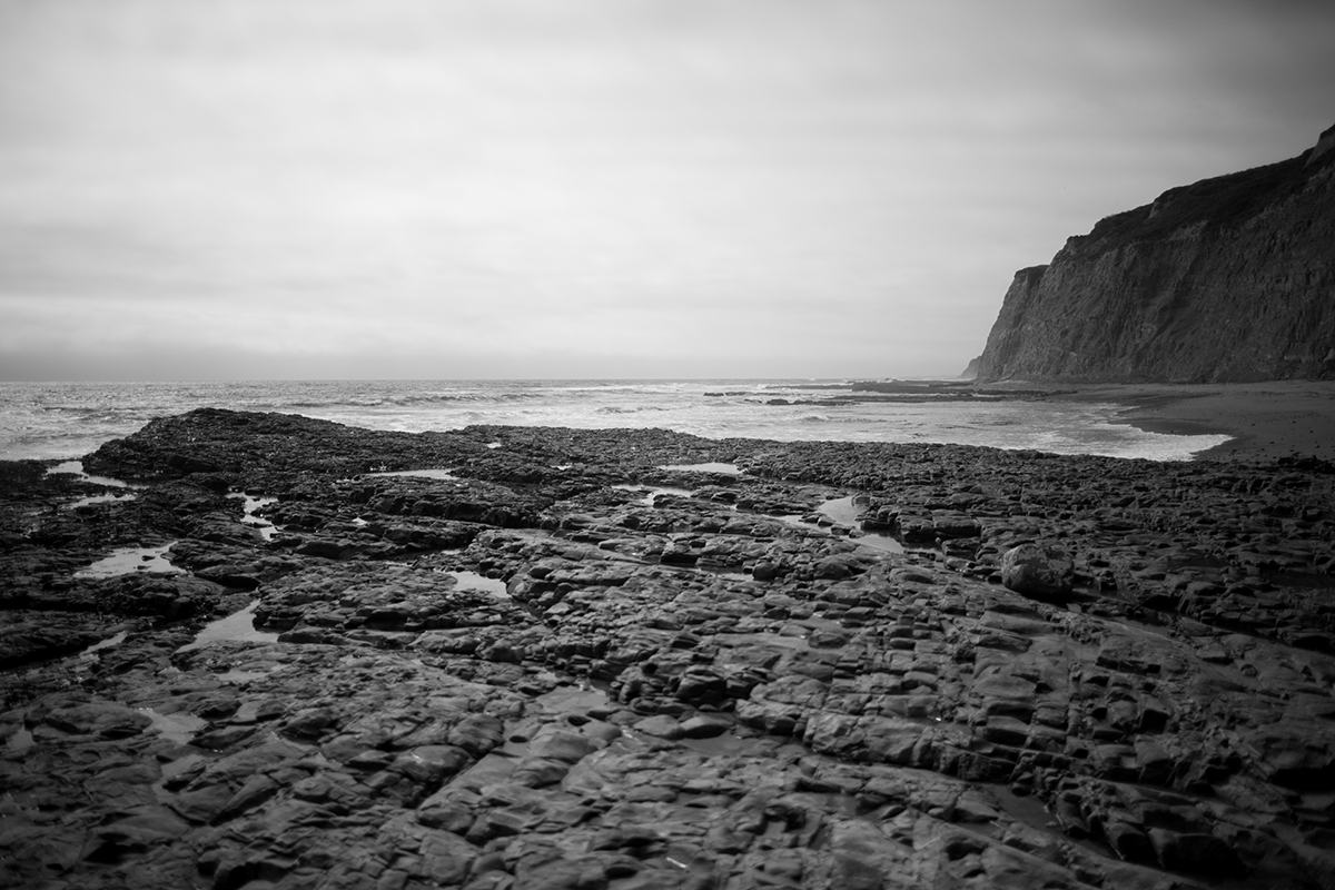 This tirp we had some sun, and lots of fog. Which makes the Northern California coastline even more beautiful.