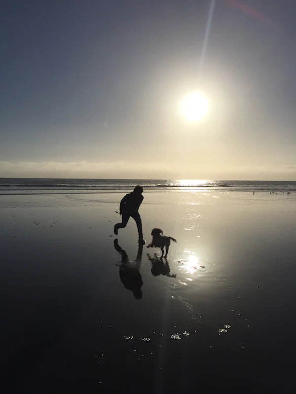 iPhone6. Stinson Beach, CA 12/30/2016