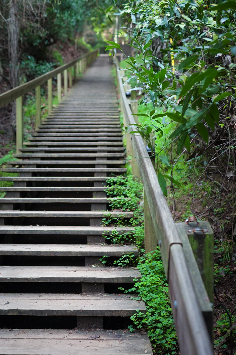 _MG_0017_steps.jpg