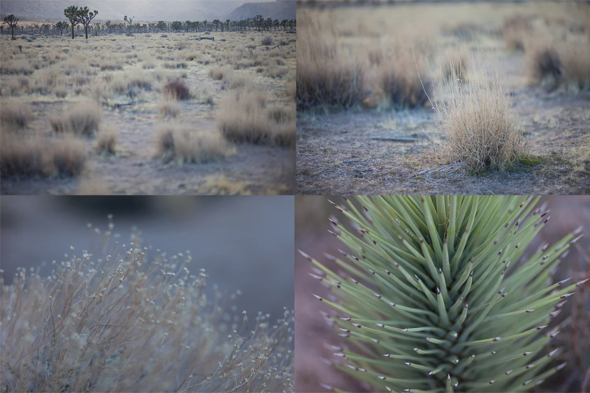 Canon 5D Mark II (from my recent Viewfinders post)