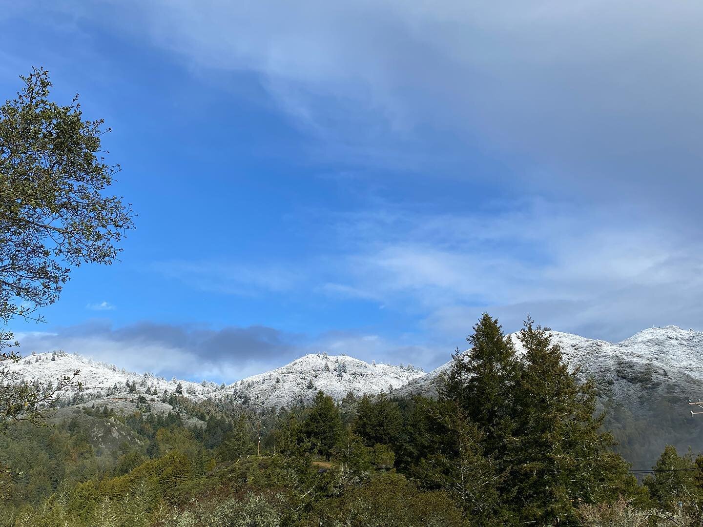 Snow on Mt. Tam! Got a few photos across from the Mountain Home Inn before the clouds and mist moved back in&hellip;. 

#millvalley #mounttamalpais #sfbayarea #snowonmounttam