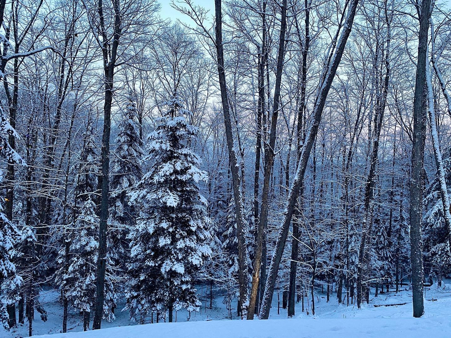 Wintering, January 2024. (Inspiration by Katherine May)