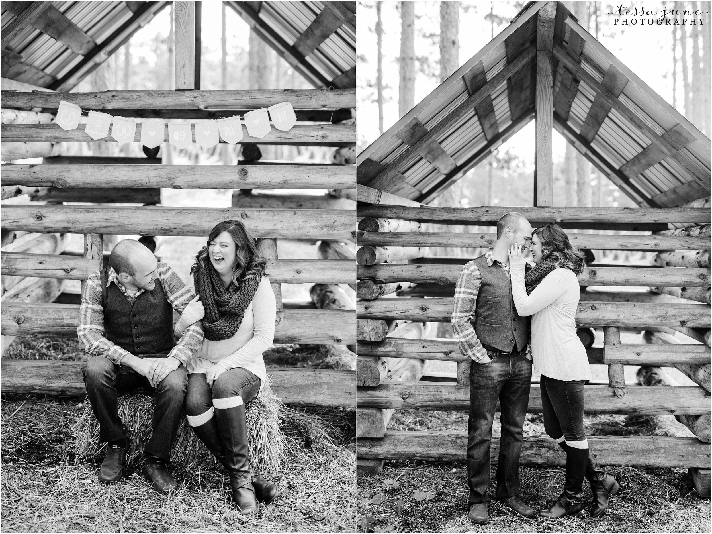 hansen-tree-farm-engagement-session-st-cloud-photographer
