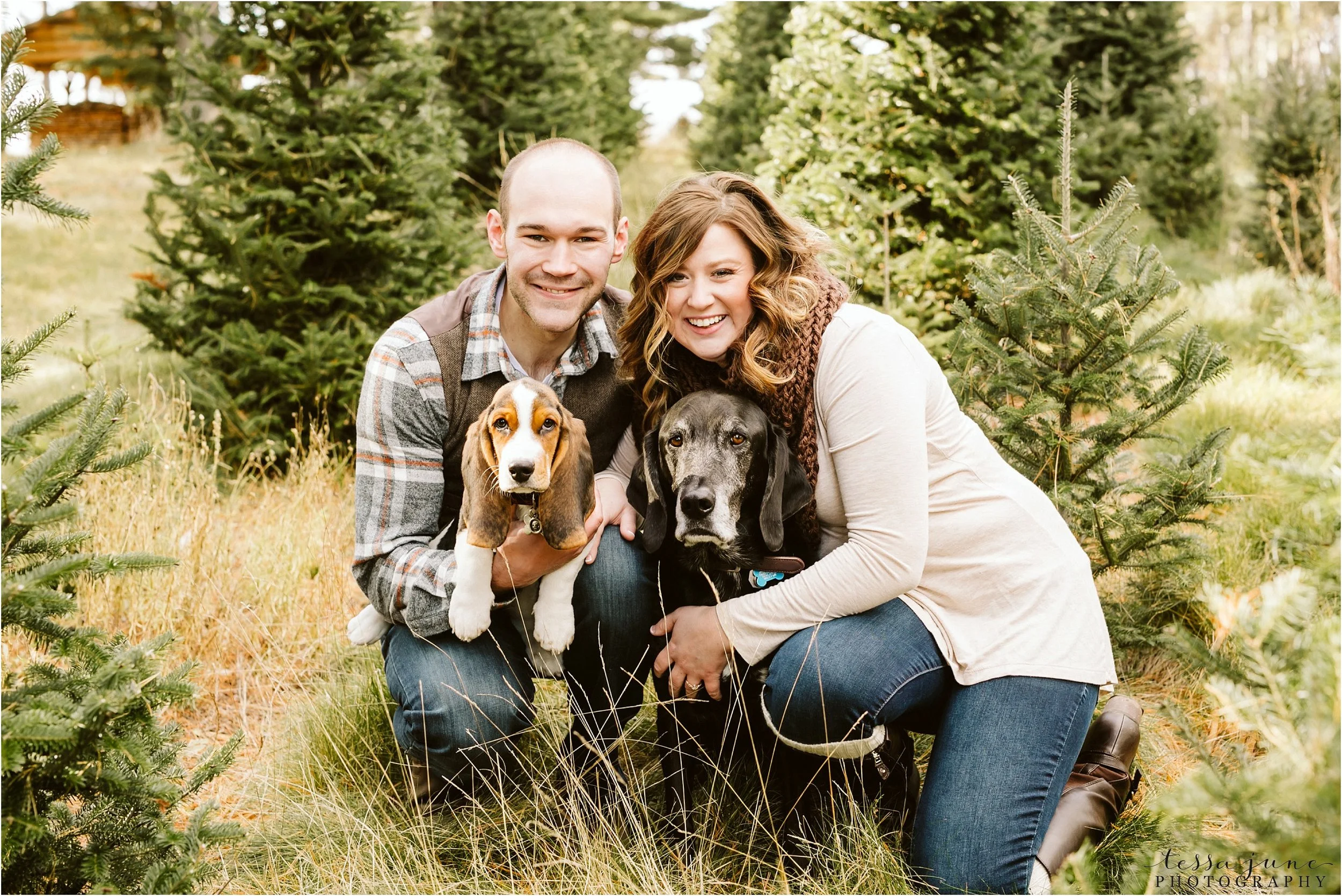 hansen-tree-farm-engagement-session-st-cloud-photographer-dogs