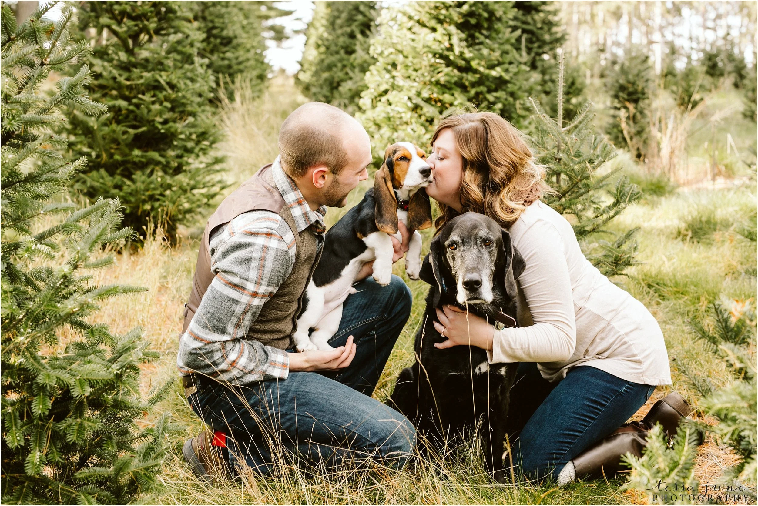 hansen-tree-farm-engagement-session-st-cloud-photographer-dogs