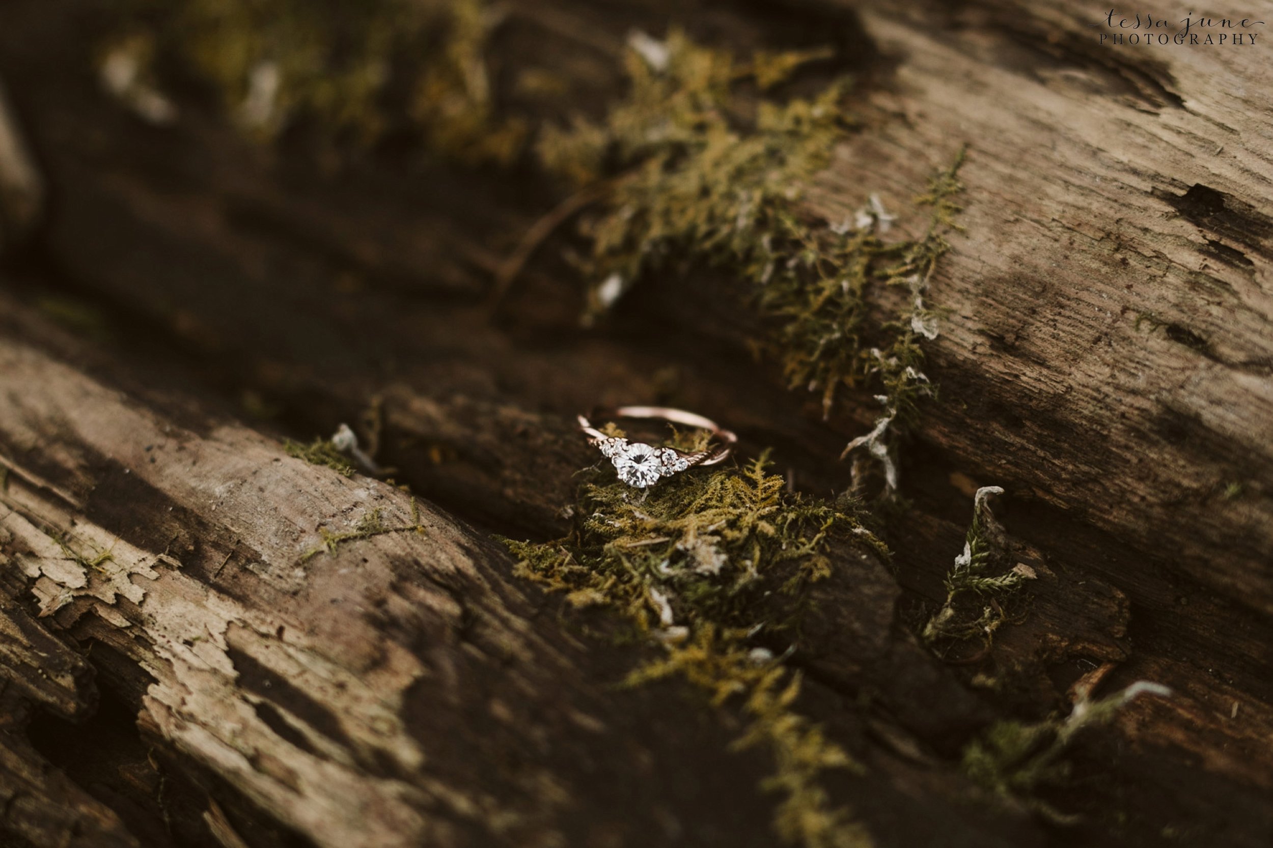 rattlesnake-lake-seattle-engagement-destination-photographer-68.jpg