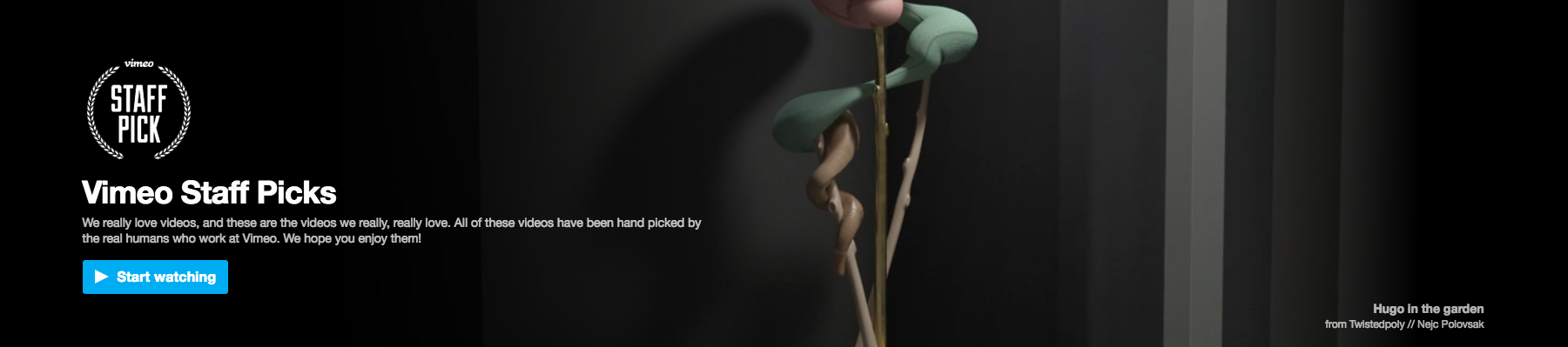 hsp.png
