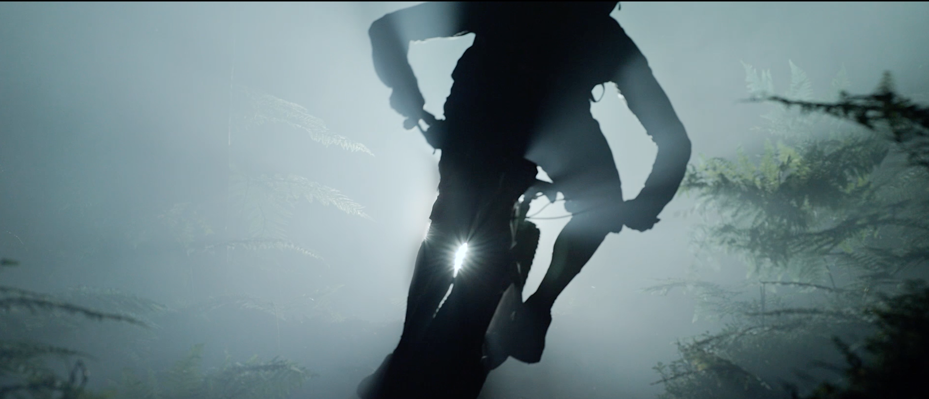 haibike.png