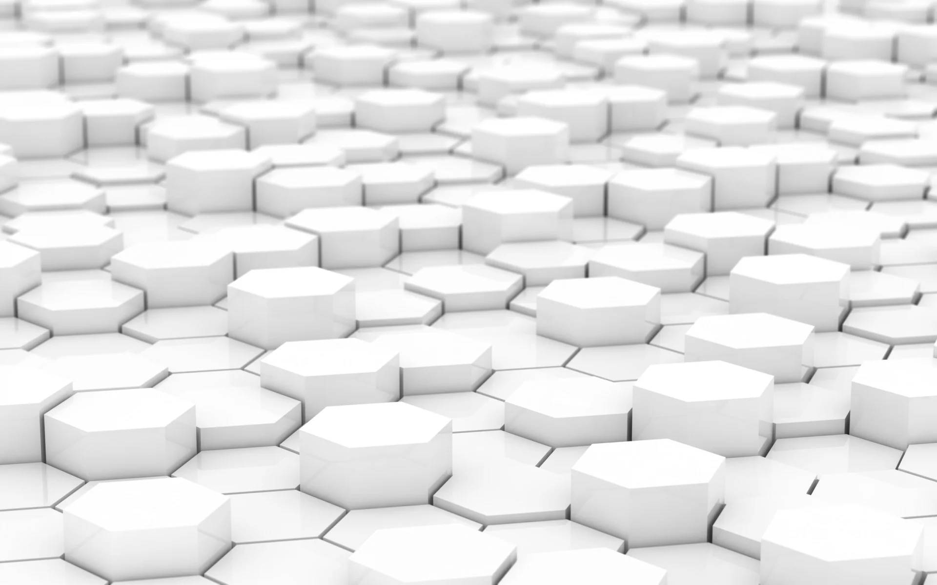white-wallpaper-14.jpg
