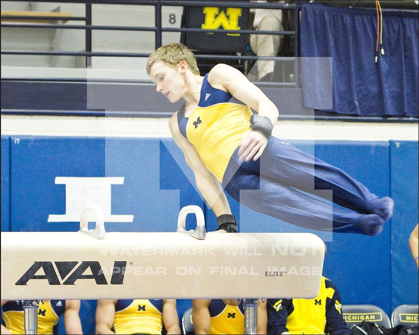 Skylines newest competitor Elite gymnast Kyle Thomas will be hosting a free gymnastic seminar on Saturday April 23 at 9am.