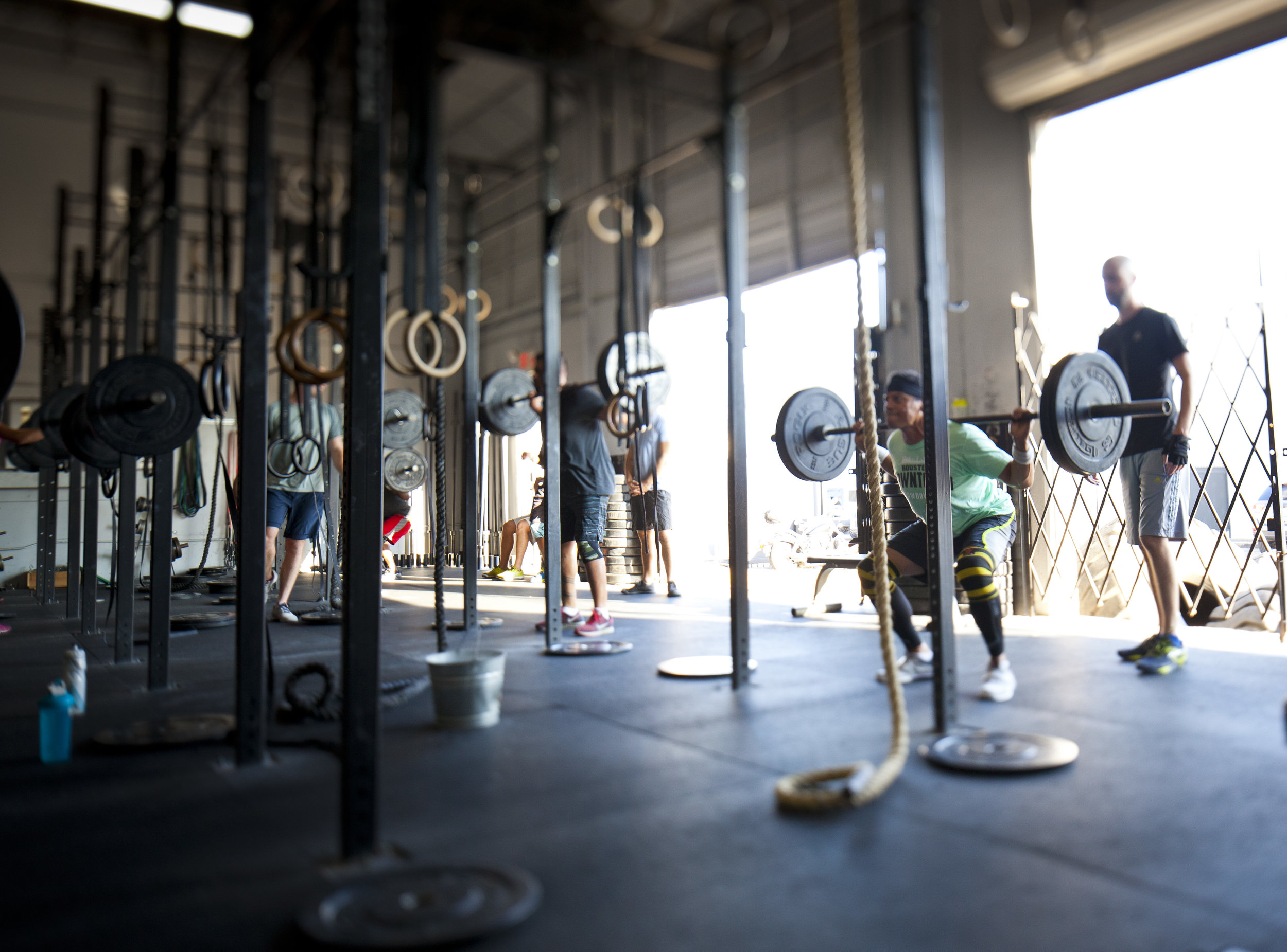 BACKSQUATS!