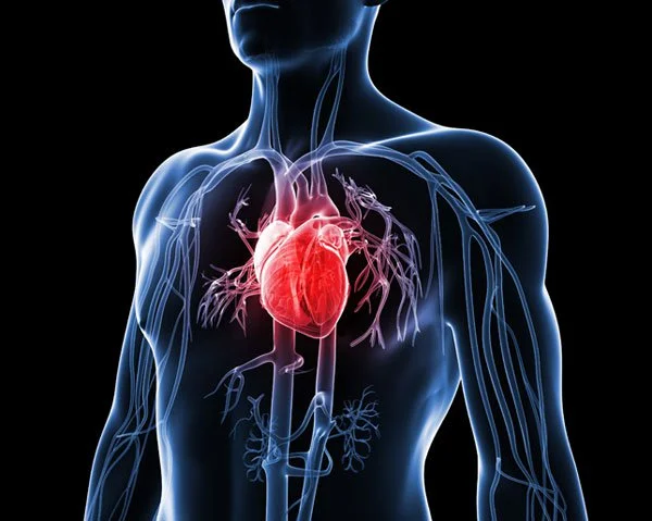 Heart Disease.jpg