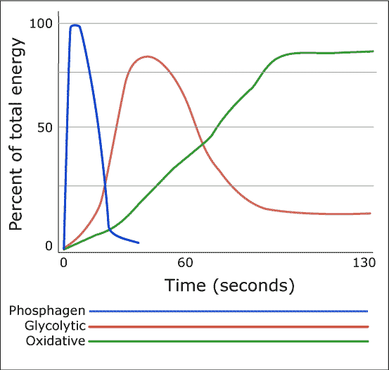 graph2.gif
