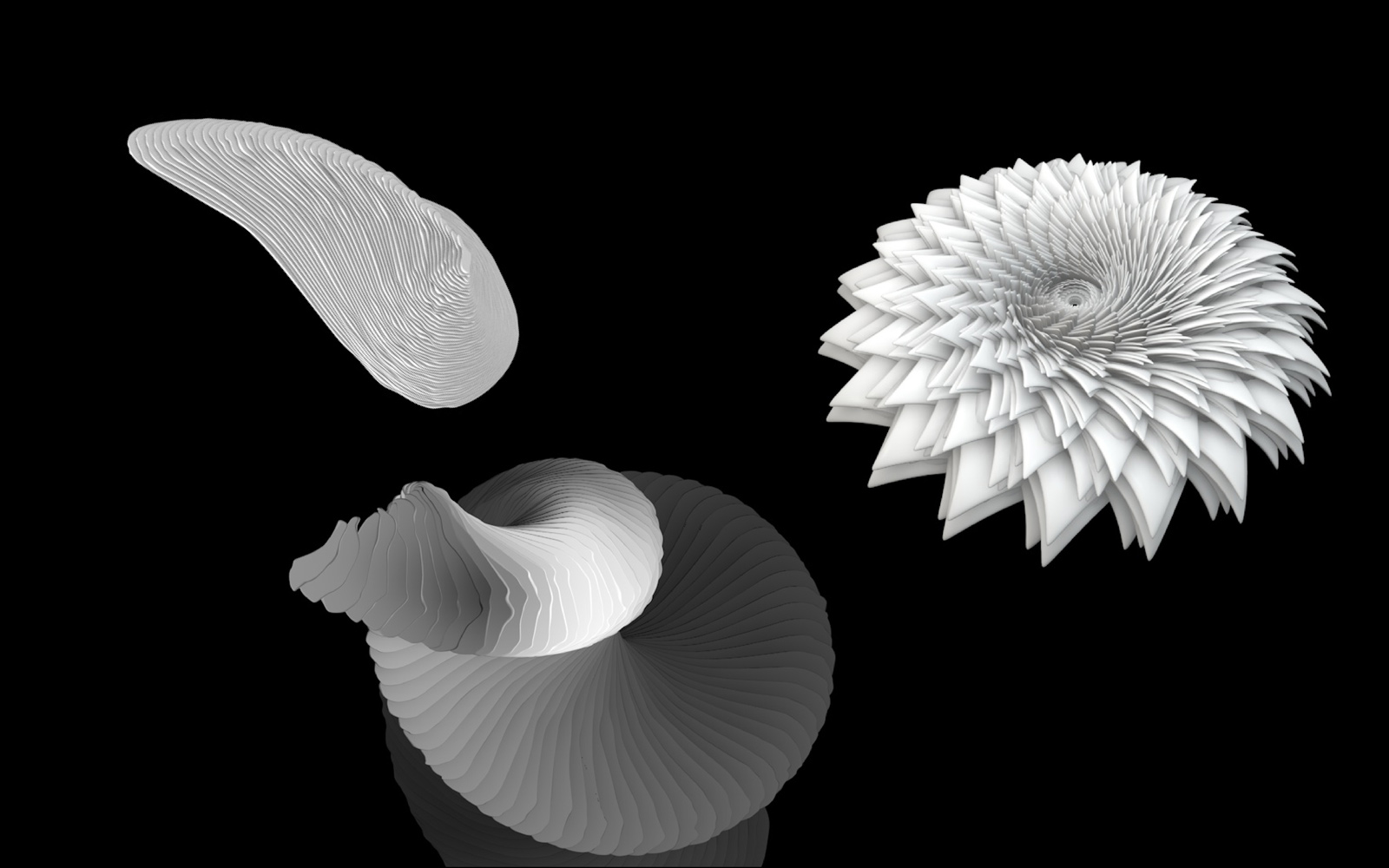 Squarespace-master-captions-models_pg54.jpg