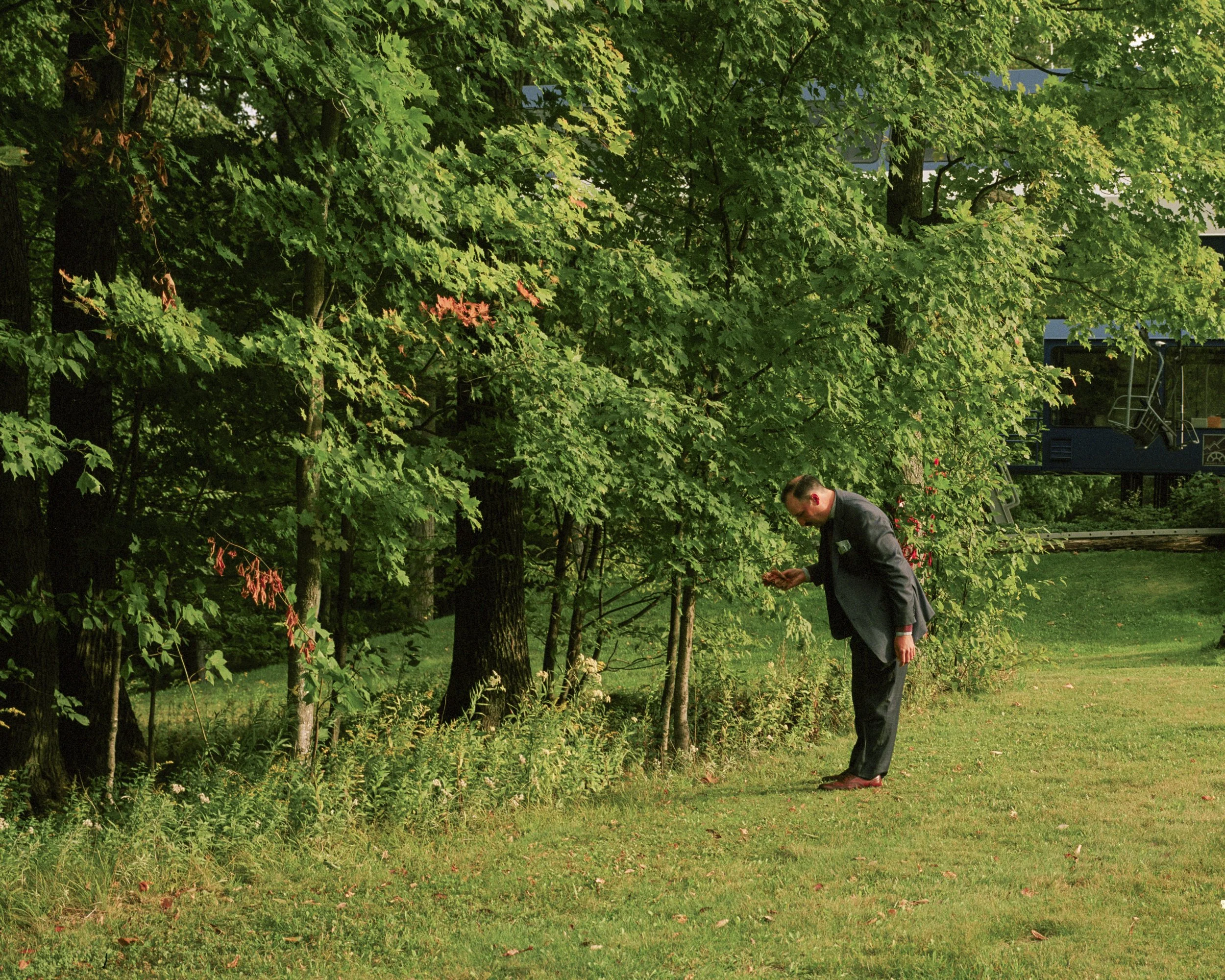 OA_Mamiya_7_Bob_Leaves.jpeg