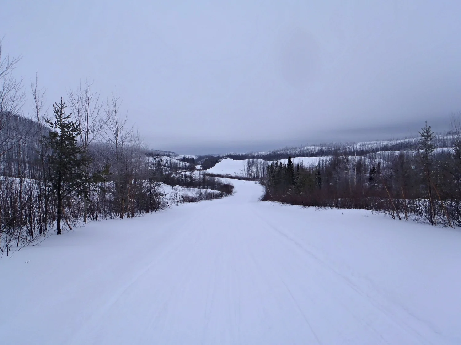 P2040138.JPG