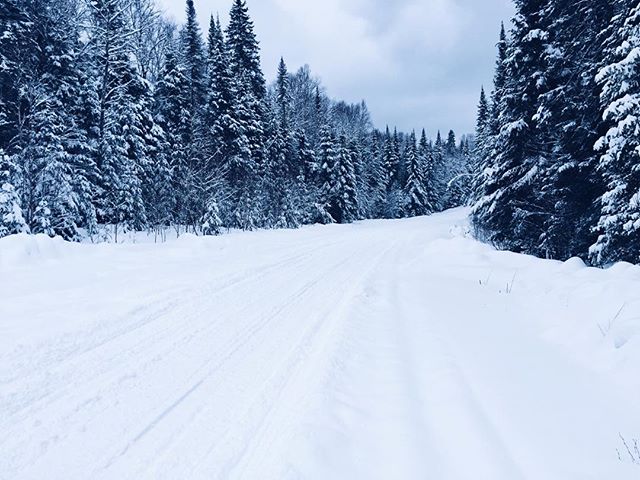 about that bush. | #darksideadvent2016 #canadianbush #perfecttrail #braaap #brp #skidoo #motorfist #polaris #snowmobile