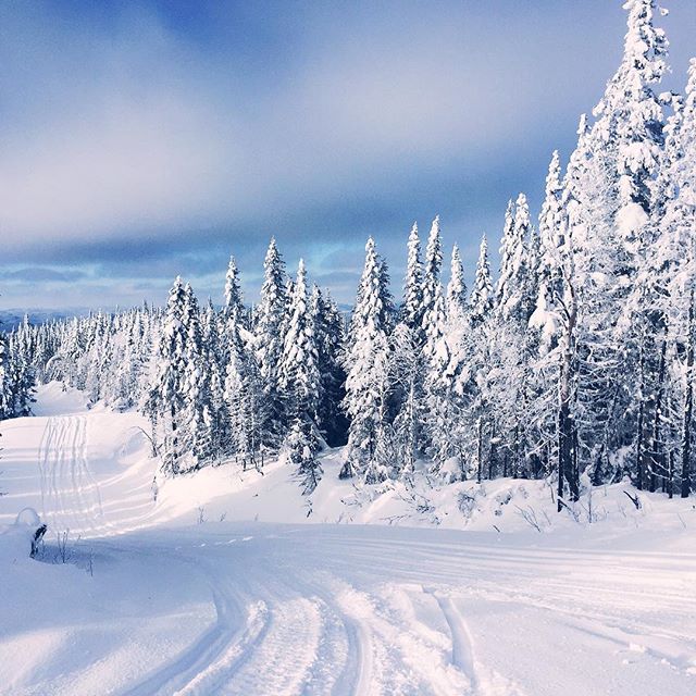 views of the darkside. | #darksideadvent2016 #quebec #snowmobile #trailpic #snow #braaap #brp #iphoneonly #outdoor #snow #canada #explorecanada #nature #freshpow #skidoo #polaris #bluebird